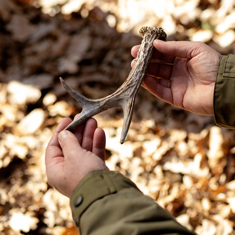 Jungjägertage im Sauerland