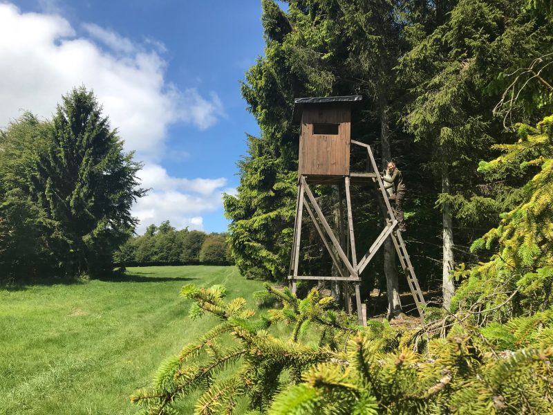 Hochsitz im Wald für Jagdausflüge im Sauerland