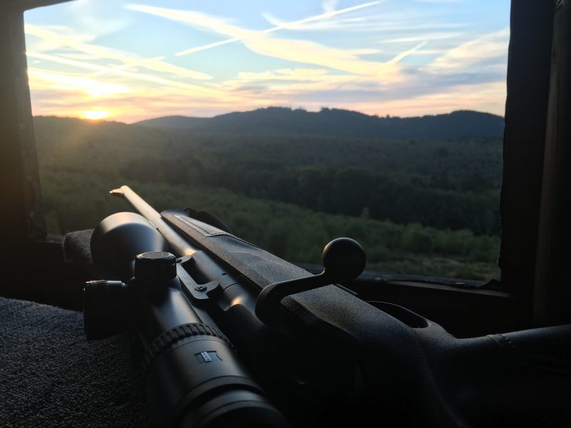 Jagdbüchse auf Hochsitz bei Sonnenuntergang