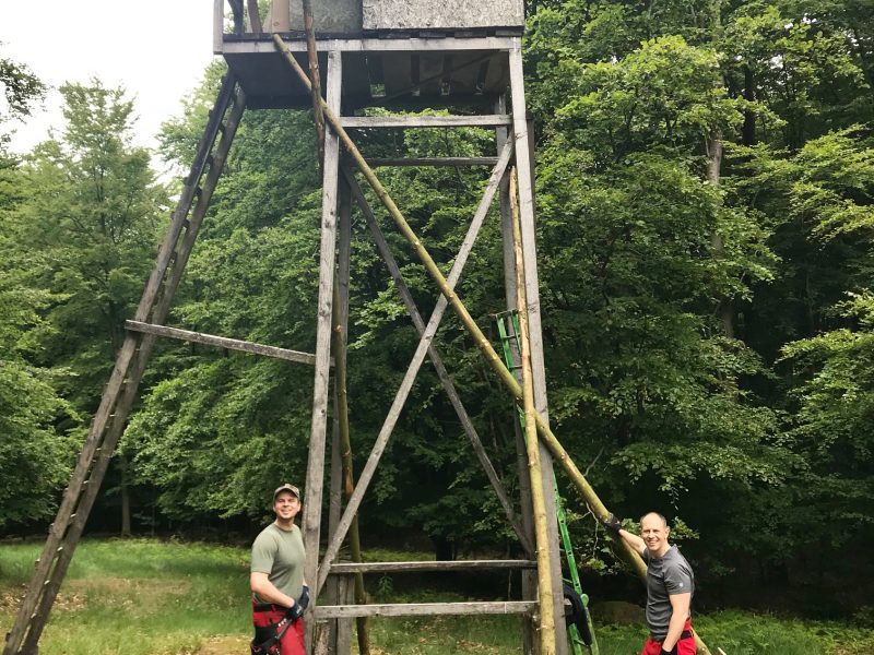 Familie beim Bau eines Hochsitzes im Wald